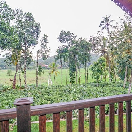 Villa Peacock Walahanduwa Kamer foto