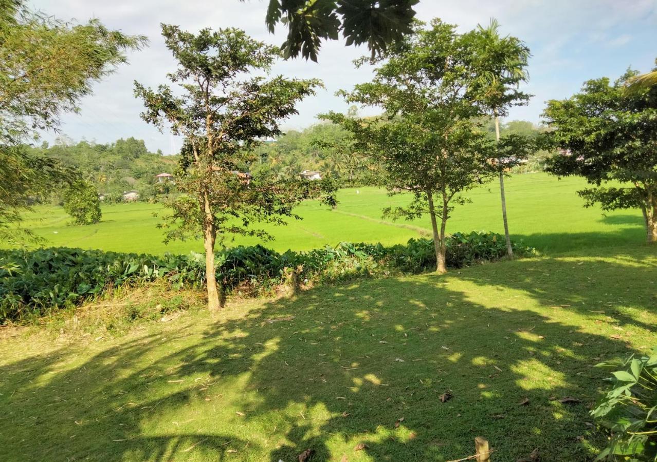 Villa Peacock Walahanduwa Buitenkant foto
